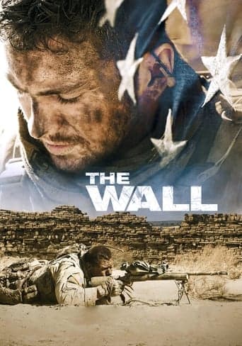 The Wall Vider