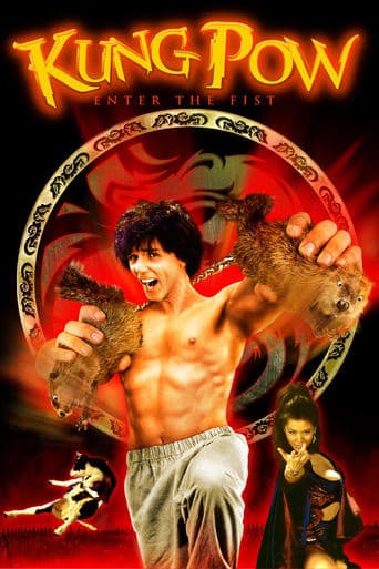 Kung Pow: Wejście Wybrańca Vider