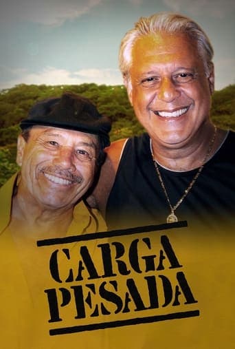 Carga Pesada Vider