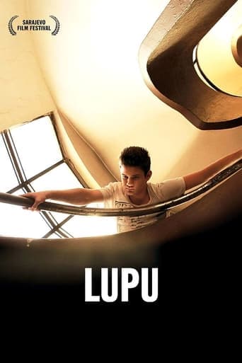 Lupu Vider