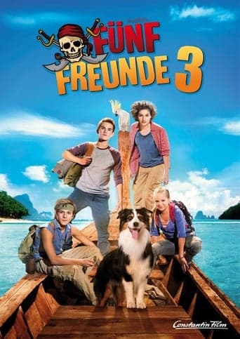 Fünf Freunde 3 Vider