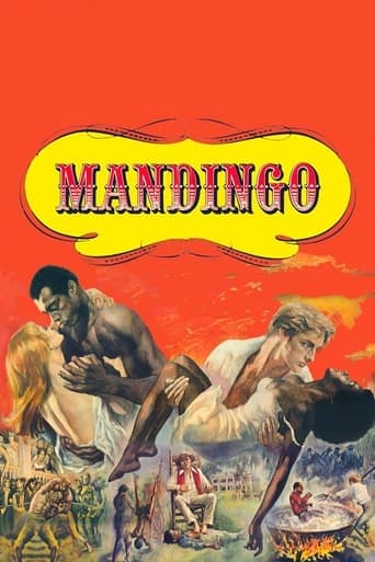 Mandingo Vider