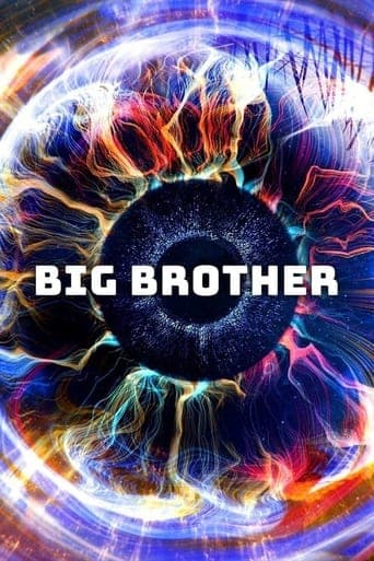 Big Brother Vider