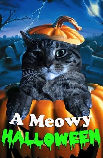 A Meowy Halloween Vider