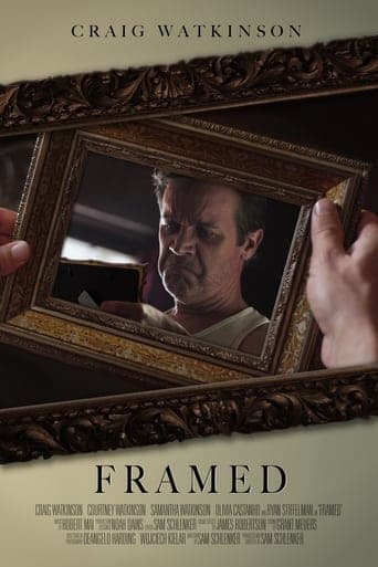 Framed Vider