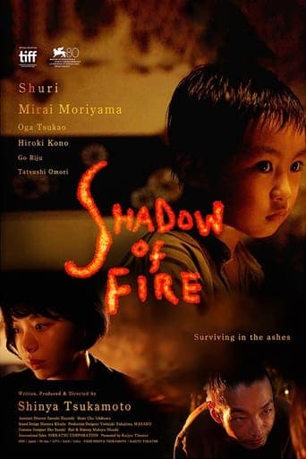 Shadow of Fire Vider