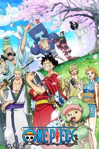 One Piece Vider