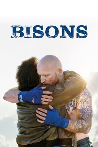 Bisons Vider