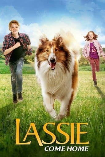 Lassie, wróć! Vider