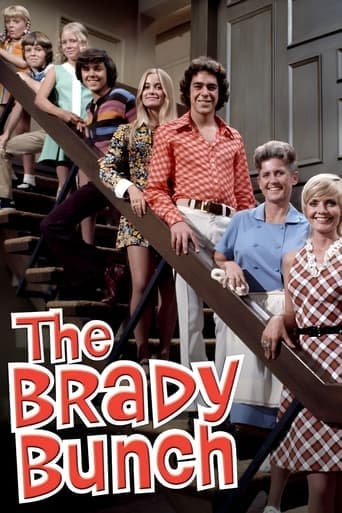 The Brady Bunch Vider