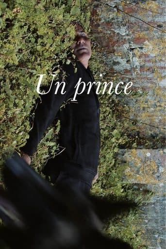 Un prince Vider