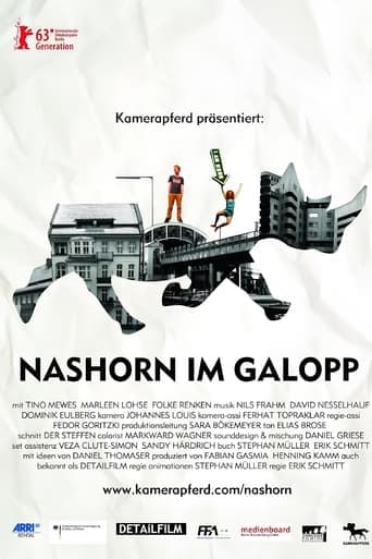 Nashorn im Galopp Vider