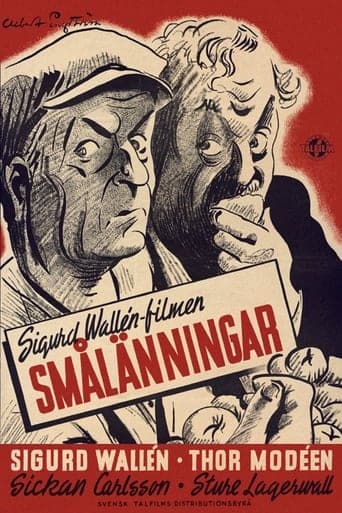 Smålänningar Vider