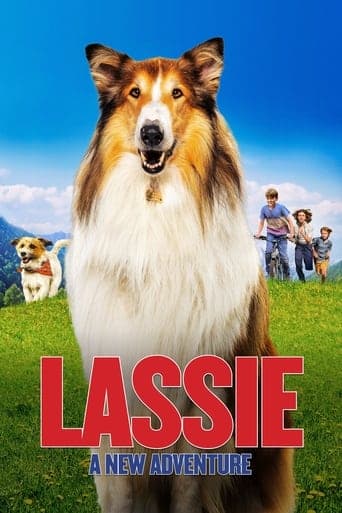 Lassie. Nowe przygody Vider