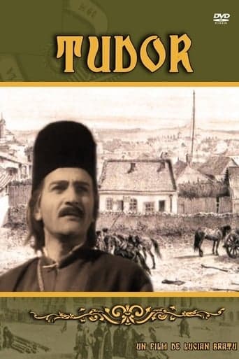 Tudor Vider