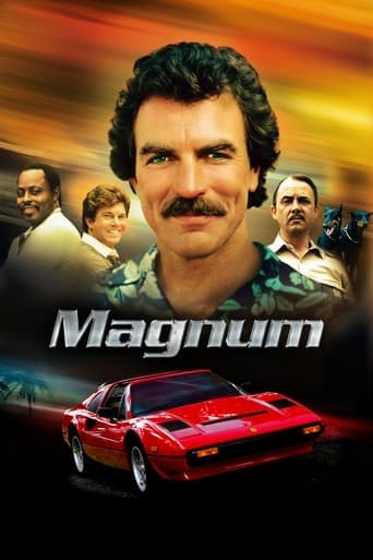 Magnum Vider