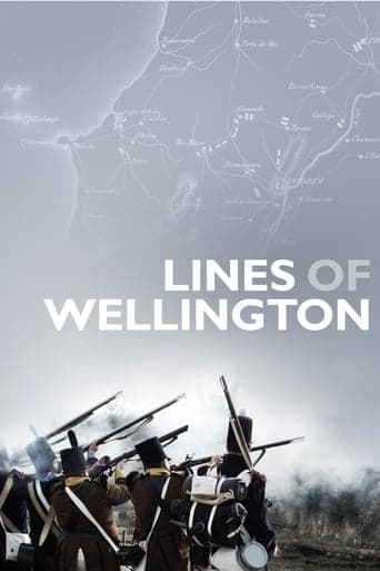 Linie Wellingtona Vider