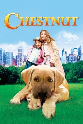 Chestnut: Hero of Central Park Vider