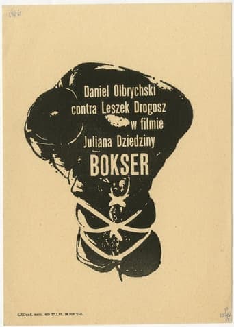 Bokser Vider