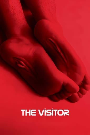 The Visitor Vider