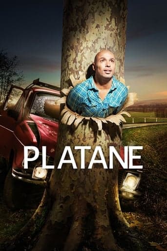 Platane Vider