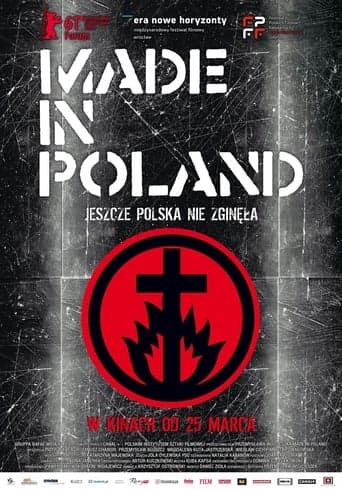 Made in Poland Vider