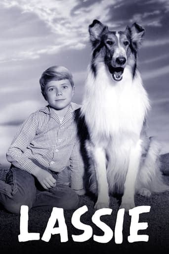 Lassie Vider