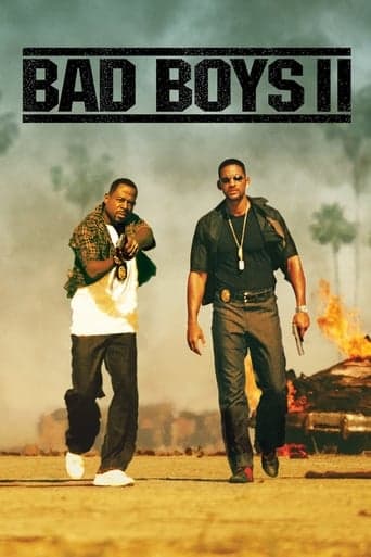 Bad Boys II Vider