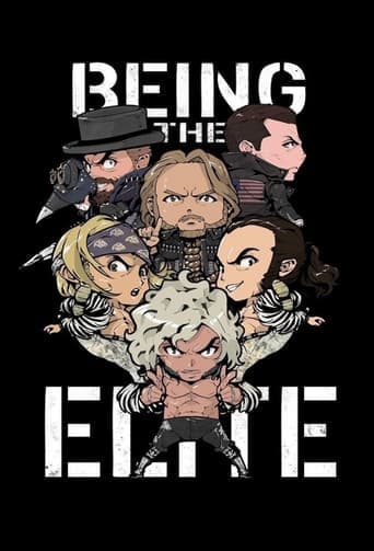 Being The Elite Vider