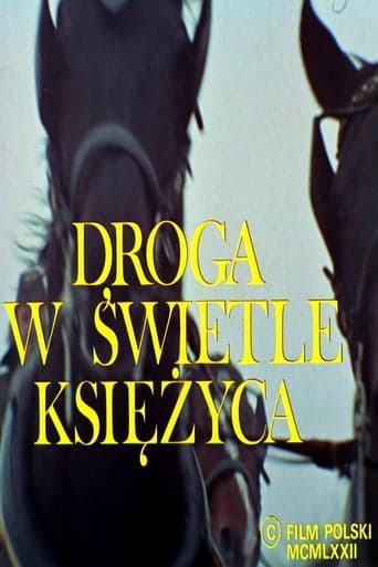 Droga w świetle księżyca Vider