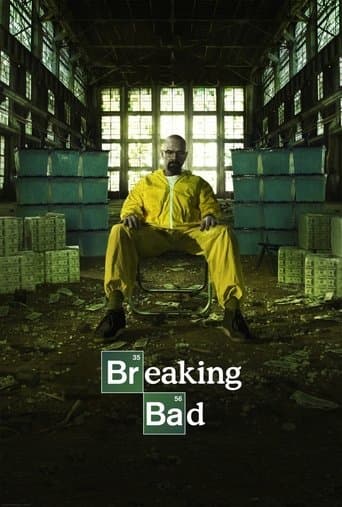 Breaking Bad Vider