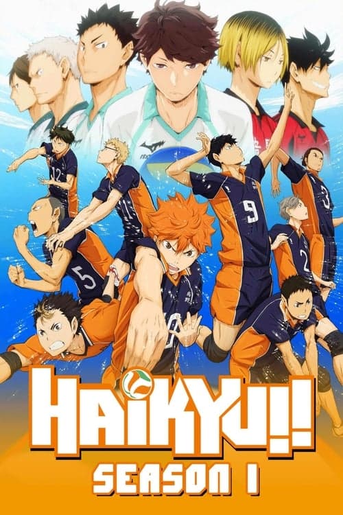 Haikyu!! Vider