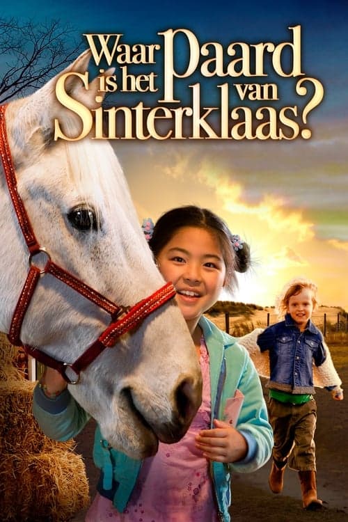 Waar is het paard van Sinterklaas? Vider