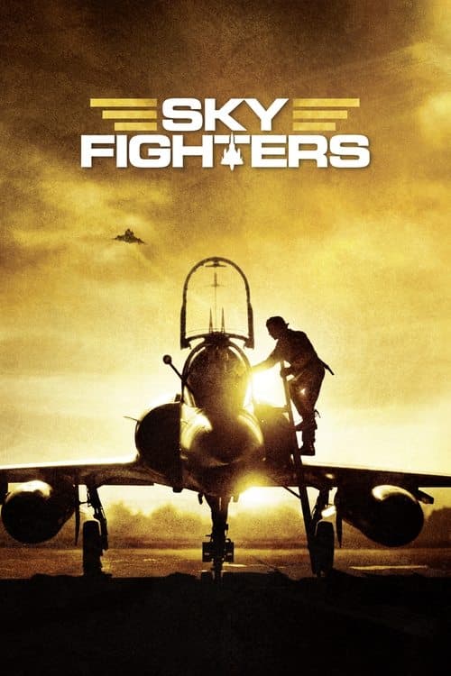 Sky Fighters Vider