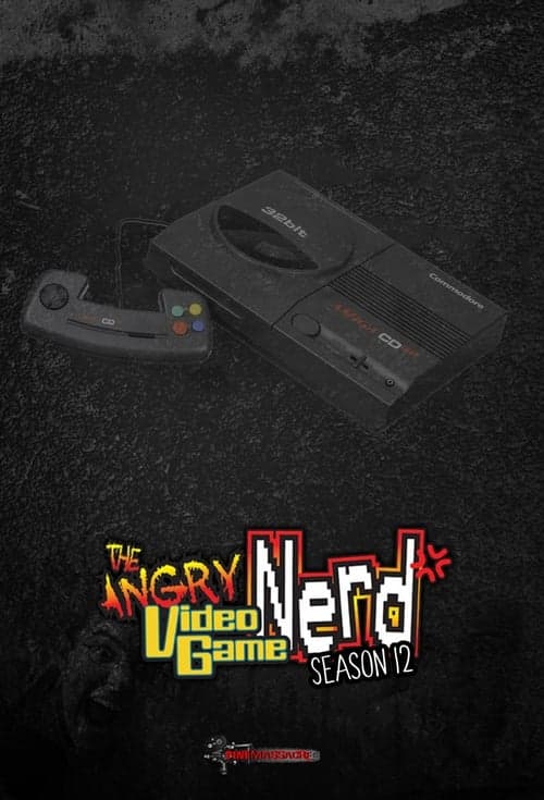 The Angry Video Game Nerd Vider