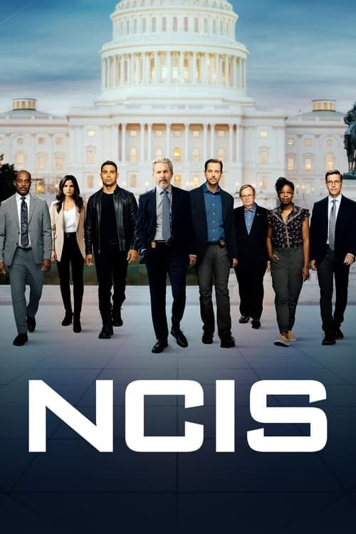 Agenci NCIS 2003 [PL] Vider HDRip