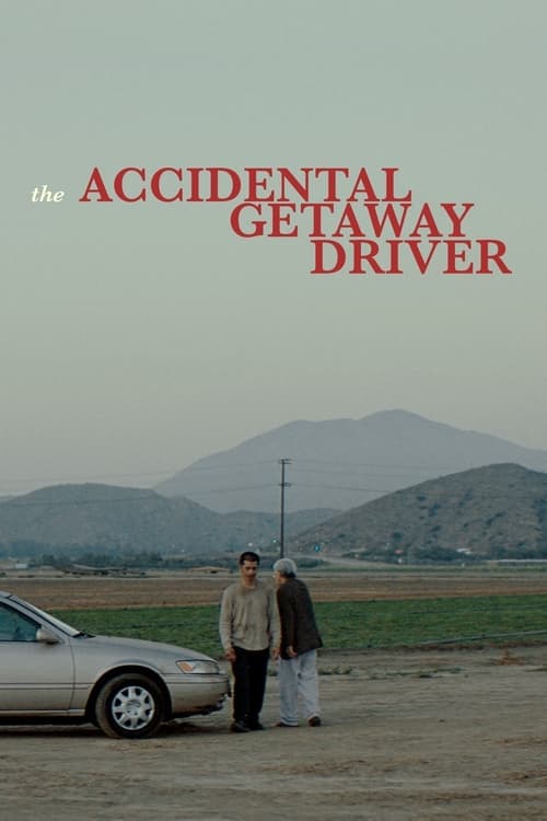 The Accidental Getaway Driver Vider