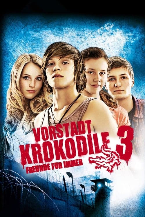 Vorstadtkrokodile 3 Vider