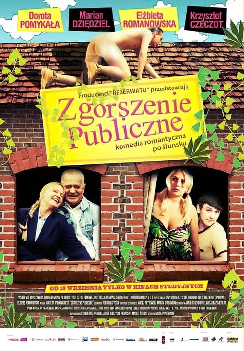 Zgorszenie publiczne Vider