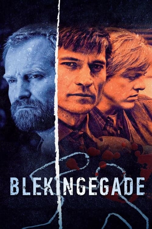 Blekingegade 2009 [PL] Vider HDRip