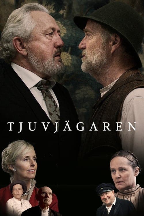 Tjuvjägaren Vider