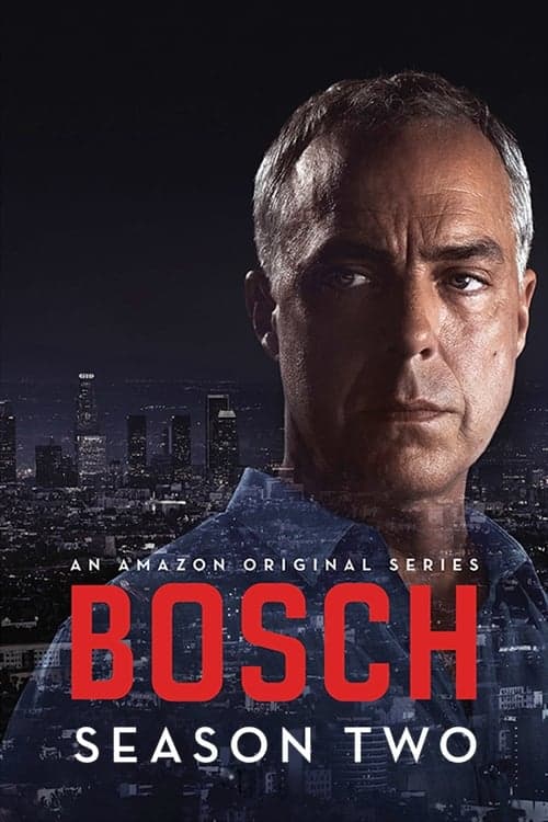 Bosch Vider