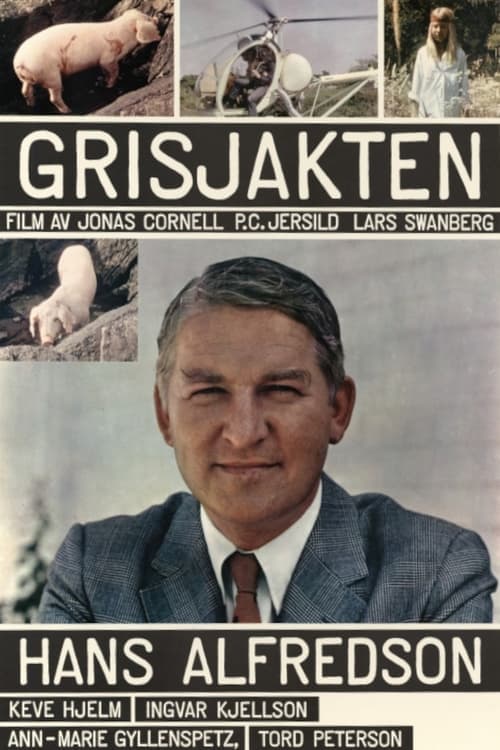 Grisjakten Vider