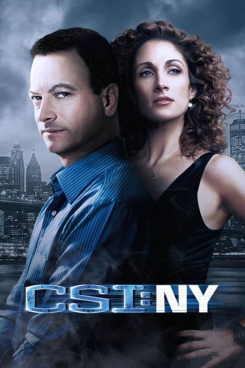 CSI: Kryminalne zagadki Nowego Jorku 2004 [PL] Vider HDRip