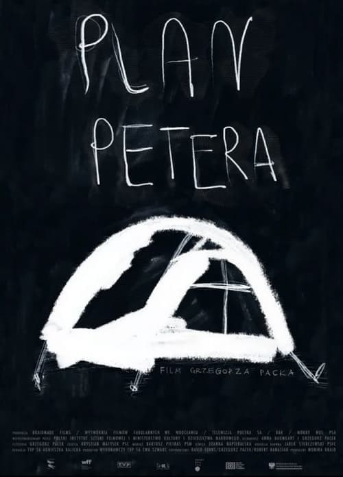 Plan Petera Vider