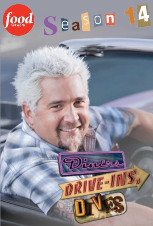 Diners, Drive-Ins and Dives Vider