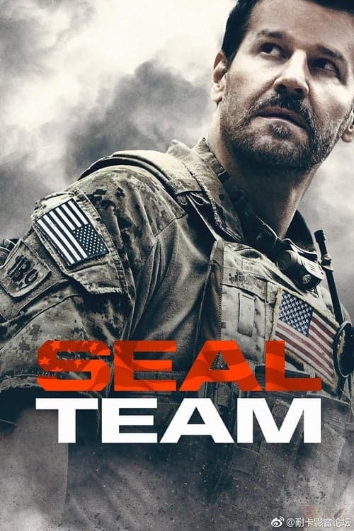 SEAL Team Vider