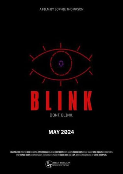 Blink Vider