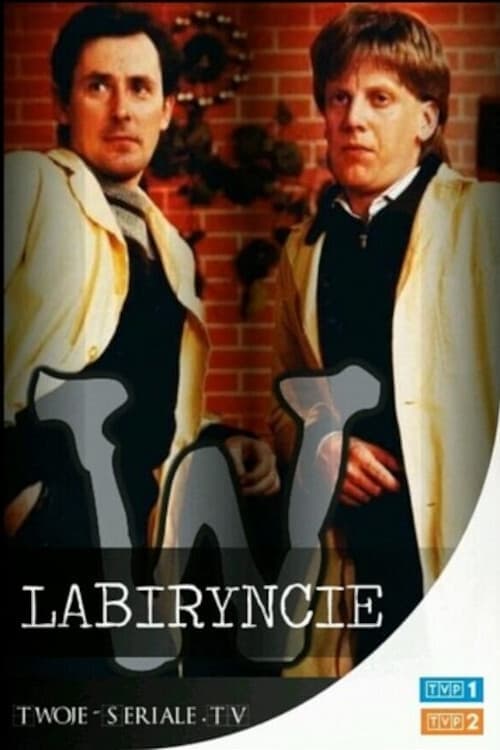 W labiryncie 1988 [PL] Vider HDRip