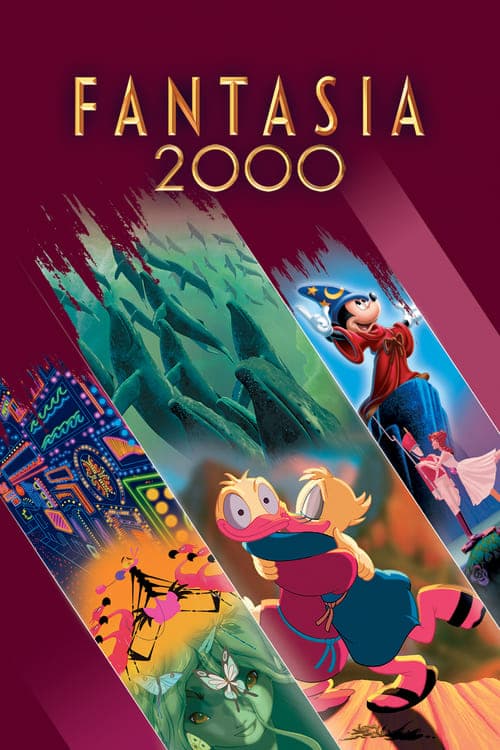 Fantazja 2000 Vider